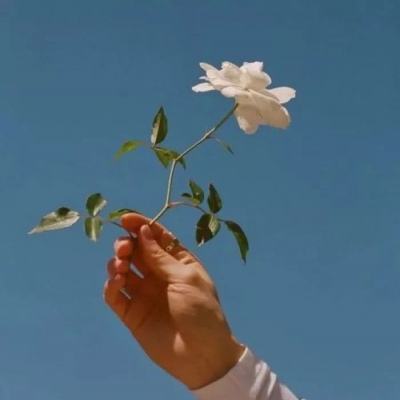 仙剑奇缘九游版本下载
